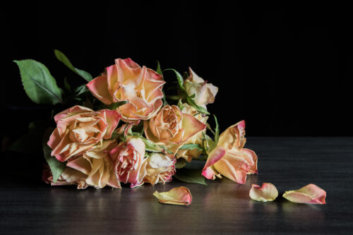 A bouquet of peach and pink roses lies on a dark surface, with a few petals scattered around. The background is black, highlighting the flowers.