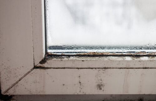 black mold windowsill